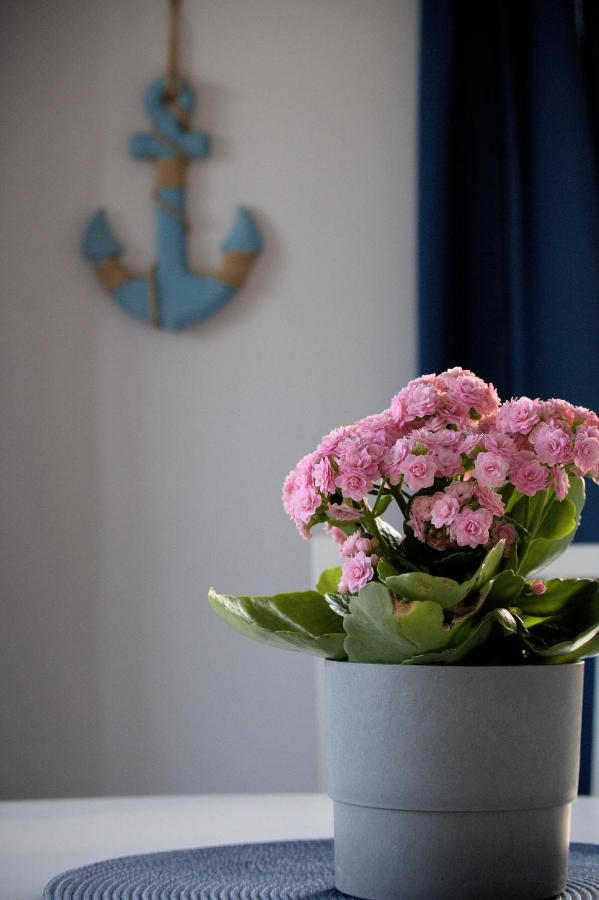 Apartamenty Marynarskie Debina  Exteriör bild